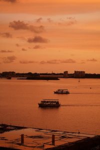 Kochi to Munnar – A Trip to Refresh You