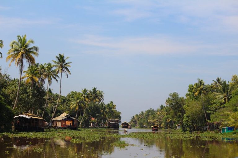 Thekkady to Alleppey Trip