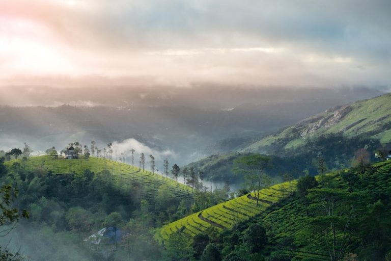 Munnar to Thekkadi Trip