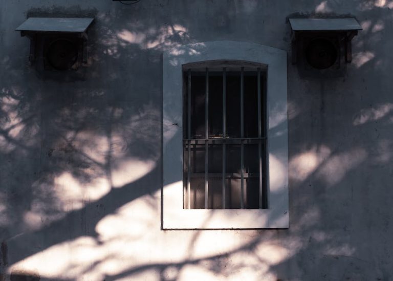 A Sojourn in Pondicherry: The Minimal France of India