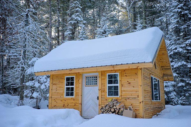 Housesitting Ideas: How to Get Free of charge Lodging All-around the Globe