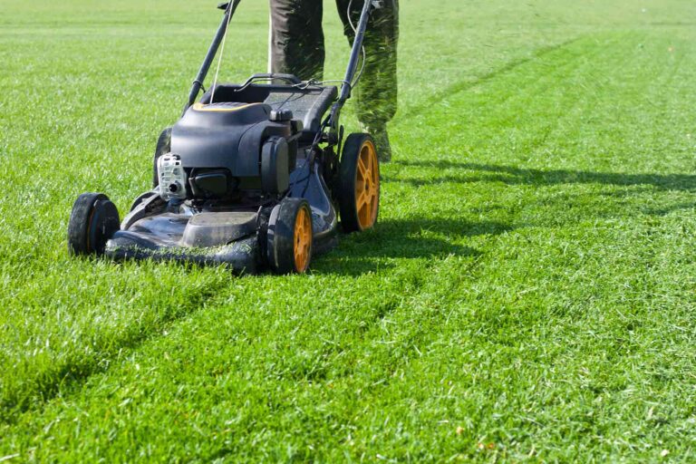 Navigating the Green Wilderness: Finding Expert Lawn Mower Repair Near You