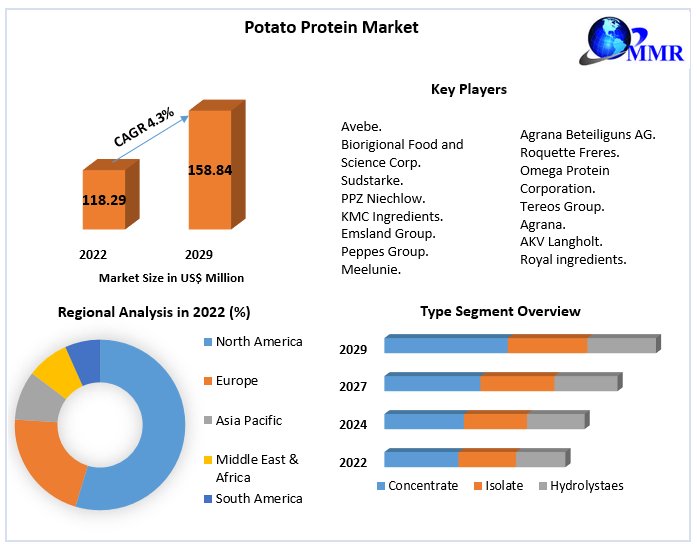 Potato Protein Market Detailed Analysis of Current Industry Trends, Growth Forecast To 2029