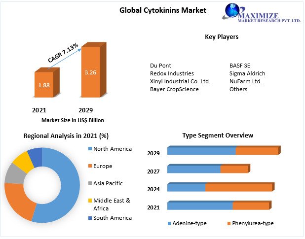 Cytokinins Market CAGR Status, Growth Opportunities and Covid-19 Impact Analysis on Forecast 2029