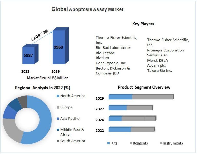 Apoptosis Assay Market To Have Significant Growth Rates 2029